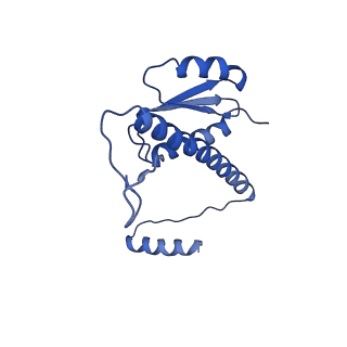 11635_7a4j_dC_v1-2
Aquifex aeolicus lumazine synthase-derived nucleocapsid variant NC-4