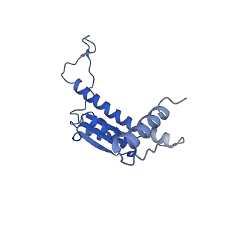 11635_7a4j_dD_v1-2
Aquifex aeolicus lumazine synthase-derived nucleocapsid variant NC-4