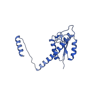 11635_7a4j_eA_v1-2
Aquifex aeolicus lumazine synthase-derived nucleocapsid variant NC-4