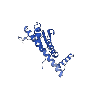 11635_7a4j_eB_v1-2
Aquifex aeolicus lumazine synthase-derived nucleocapsid variant NC-4