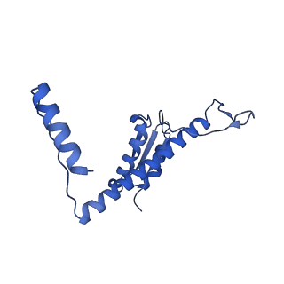 11635_7a4j_eC_v1-2
Aquifex aeolicus lumazine synthase-derived nucleocapsid variant NC-4