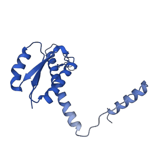 11635_7a4j_eD_v1-2
Aquifex aeolicus lumazine synthase-derived nucleocapsid variant NC-4