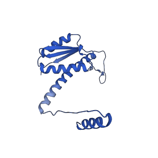 11635_7a4j_fA_v1-2
Aquifex aeolicus lumazine synthase-derived nucleocapsid variant NC-4