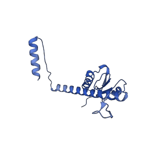 11635_7a4j_fB_v1-2
Aquifex aeolicus lumazine synthase-derived nucleocapsid variant NC-4