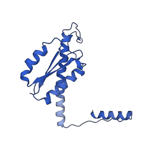 11635_7a4j_fC_v1-2
Aquifex aeolicus lumazine synthase-derived nucleocapsid variant NC-4
