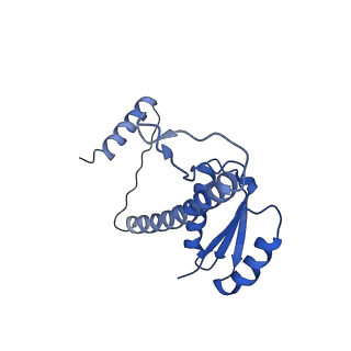 11635_7a4j_fD_v1-2
Aquifex aeolicus lumazine synthase-derived nucleocapsid variant NC-4