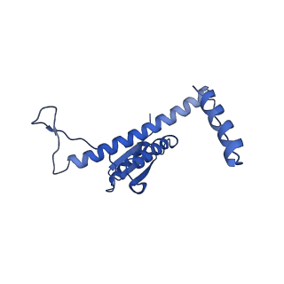 11635_7a4j_gA_v1-2
Aquifex aeolicus lumazine synthase-derived nucleocapsid variant NC-4