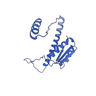11635_7a4j_gC_v1-2
Aquifex aeolicus lumazine synthase-derived nucleocapsid variant NC-4