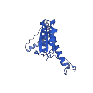 11635_7a4j_gD_v1-2
Aquifex aeolicus lumazine synthase-derived nucleocapsid variant NC-4