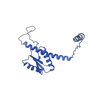 11635_7a4j_hA_v1-2
Aquifex aeolicus lumazine synthase-derived nucleocapsid variant NC-4