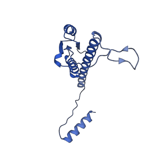 11635_7a4j_hB_v1-2
Aquifex aeolicus lumazine synthase-derived nucleocapsid variant NC-4