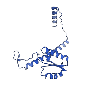 11635_7a4j_hC_v1-2
Aquifex aeolicus lumazine synthase-derived nucleocapsid variant NC-4