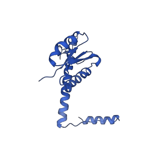 11635_7a4j_iA_v1-2
Aquifex aeolicus lumazine synthase-derived nucleocapsid variant NC-4