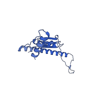 11635_7a4j_iB_v1-2
Aquifex aeolicus lumazine synthase-derived nucleocapsid variant NC-4