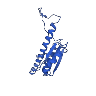 11635_7a4j_iC_v1-2
Aquifex aeolicus lumazine synthase-derived nucleocapsid variant NC-4