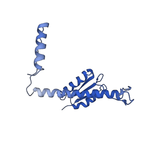 11635_7a4j_iD_v1-2
Aquifex aeolicus lumazine synthase-derived nucleocapsid variant NC-4