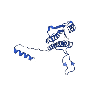 11635_7a4j_jA_v1-2
Aquifex aeolicus lumazine synthase-derived nucleocapsid variant NC-4