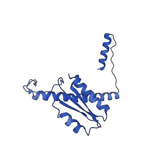 11635_7a4j_jB_v1-2
Aquifex aeolicus lumazine synthase-derived nucleocapsid variant NC-4