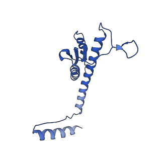 11635_7a4j_jC_v1-2
Aquifex aeolicus lumazine synthase-derived nucleocapsid variant NC-4