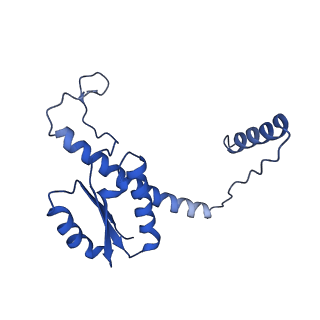 11635_7a4j_jD_v1-2
Aquifex aeolicus lumazine synthase-derived nucleocapsid variant NC-4