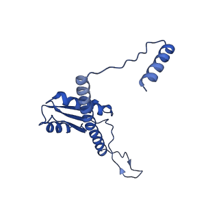 11635_7a4j_kB_v1-2
Aquifex aeolicus lumazine synthase-derived nucleocapsid variant NC-4
