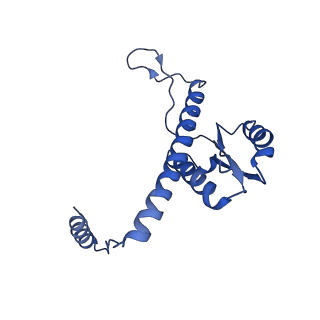 11635_7a4j_kC_v1-2
Aquifex aeolicus lumazine synthase-derived nucleocapsid variant NC-4