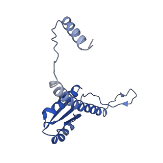11635_7a4j_kD_v1-2
Aquifex aeolicus lumazine synthase-derived nucleocapsid variant NC-4