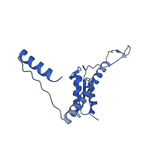 11635_7a4j_lA_v1-2
Aquifex aeolicus lumazine synthase-derived nucleocapsid variant NC-4