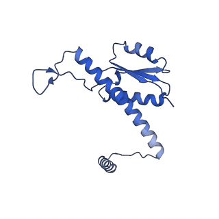 11635_7a4j_lB_v1-2
Aquifex aeolicus lumazine synthase-derived nucleocapsid variant NC-4