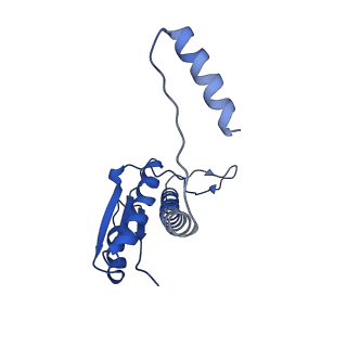 11635_7a4j_lC_v1-2
Aquifex aeolicus lumazine synthase-derived nucleocapsid variant NC-4