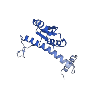 11635_7a4j_lD_v1-2
Aquifex aeolicus lumazine synthase-derived nucleocapsid variant NC-4