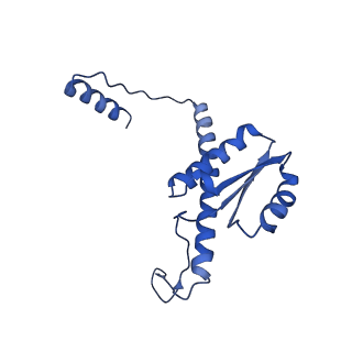 11635_7a4j_mA_v1-2
Aquifex aeolicus lumazine synthase-derived nucleocapsid variant NC-4