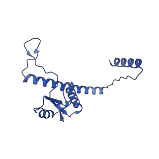 11635_7a4j_mB_v1-2
Aquifex aeolicus lumazine synthase-derived nucleocapsid variant NC-4