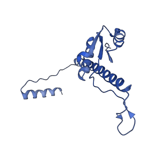 11635_7a4j_mC_v1-2
Aquifex aeolicus lumazine synthase-derived nucleocapsid variant NC-4