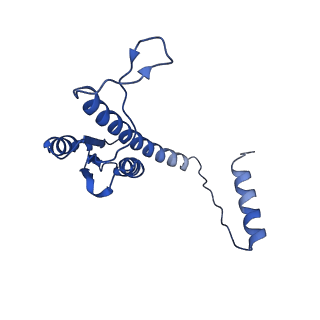 11635_7a4j_mD_v1-2
Aquifex aeolicus lumazine synthase-derived nucleocapsid variant NC-4