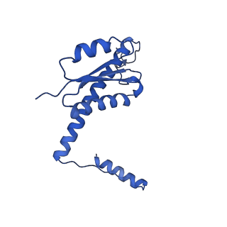 11635_7a4j_nB_v1-2
Aquifex aeolicus lumazine synthase-derived nucleocapsid variant NC-4
