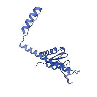 11635_7a4j_nC_v1-2
Aquifex aeolicus lumazine synthase-derived nucleocapsid variant NC-4