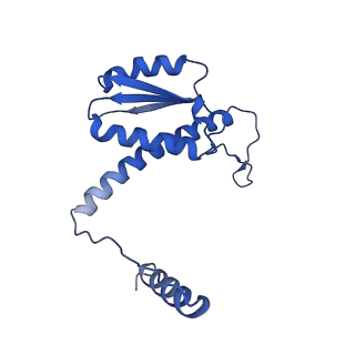 11635_7a4j_nD_v1-2
Aquifex aeolicus lumazine synthase-derived nucleocapsid variant NC-4
