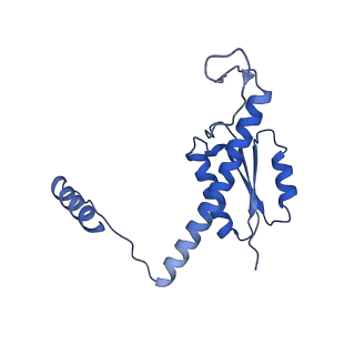 11635_7a4j_oB_v1-2
Aquifex aeolicus lumazine synthase-derived nucleocapsid variant NC-4