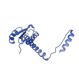 11635_7a4j_oC_v1-2
Aquifex aeolicus lumazine synthase-derived nucleocapsid variant NC-4