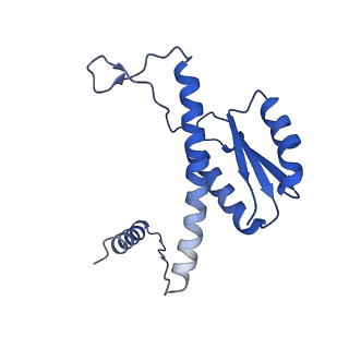 11635_7a4j_oD_v1-2
Aquifex aeolicus lumazine synthase-derived nucleocapsid variant NC-4