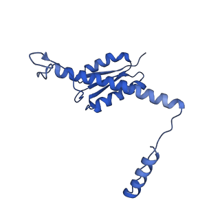 11635_7a4j_pA_v1-2
Aquifex aeolicus lumazine synthase-derived nucleocapsid variant NC-4