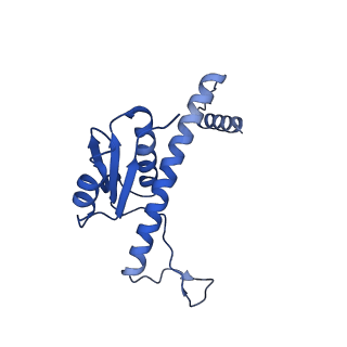 11635_7a4j_pB_v1-2
Aquifex aeolicus lumazine synthase-derived nucleocapsid variant NC-4