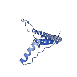 11635_7a4j_pC_v1-2
Aquifex aeolicus lumazine synthase-derived nucleocapsid variant NC-4