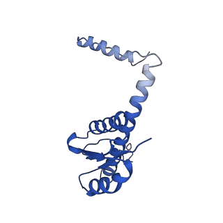 11635_7a4j_pD_v1-2
Aquifex aeolicus lumazine synthase-derived nucleocapsid variant NC-4