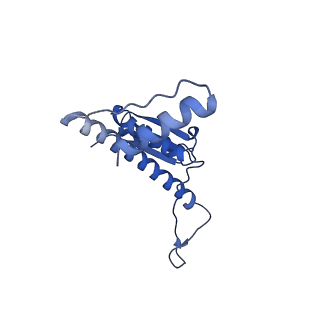 11635_7a4j_qA_v1-2
Aquifex aeolicus lumazine synthase-derived nucleocapsid variant NC-4