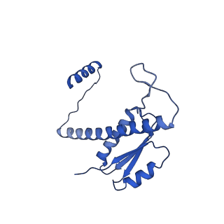 11635_7a4j_qB_v1-2
Aquifex aeolicus lumazine synthase-derived nucleocapsid variant NC-4