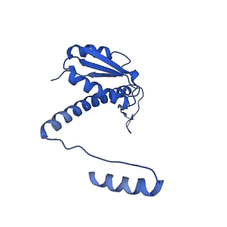 11635_7a4j_qC_v1-2
Aquifex aeolicus lumazine synthase-derived nucleocapsid variant NC-4