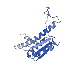 11635_7a4j_qD_v1-2
Aquifex aeolicus lumazine synthase-derived nucleocapsid variant NC-4
