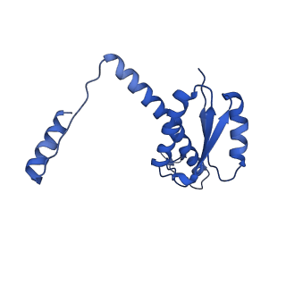 11635_7a4j_rA_v1-2
Aquifex aeolicus lumazine synthase-derived nucleocapsid variant NC-4